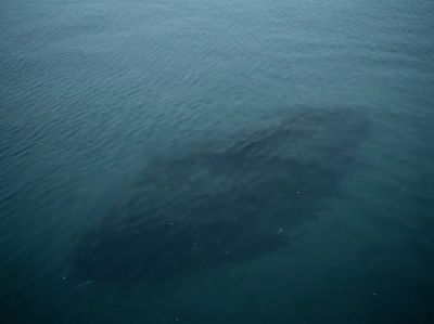 Wasseroberfläche mit Sandbank