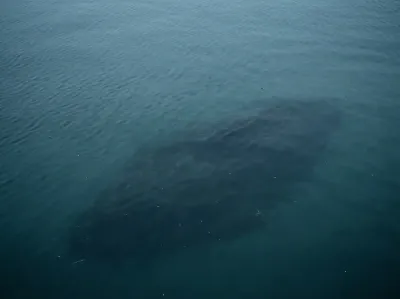 Wasseroberfläche mit Sandbank
